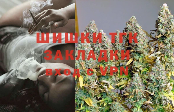 прущие грибы Киренск