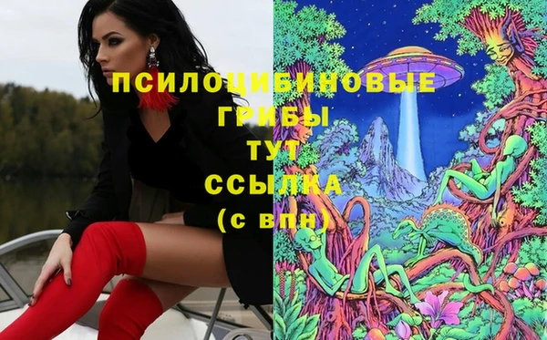 тгк Кодинск